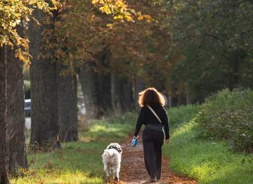 Sur un sentier à l'abri des arbres une femme et son chien se promènent